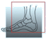 GFFC